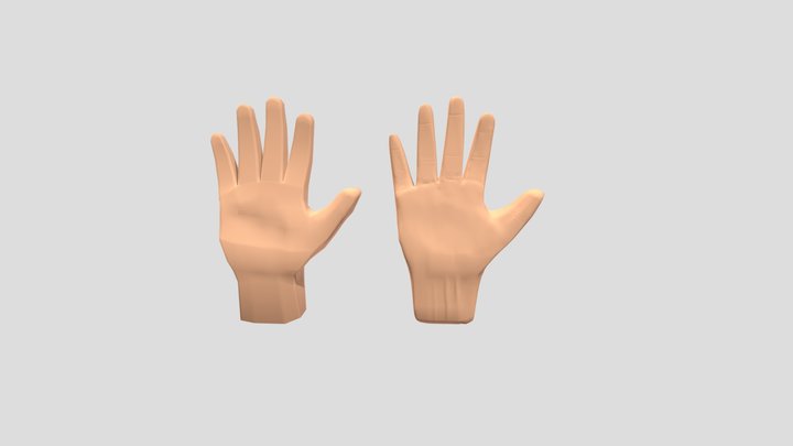 Hand 3D Model