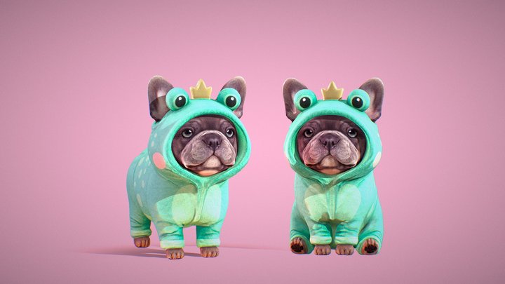 Froggy doggy 3D Model