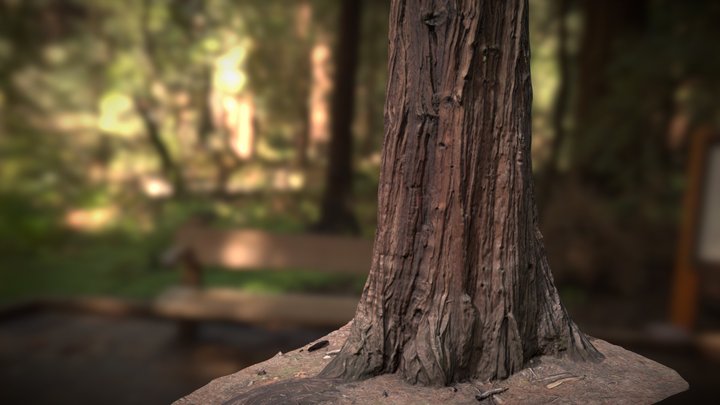 Sequoiadendron Large01 Mid Poly 3D Model