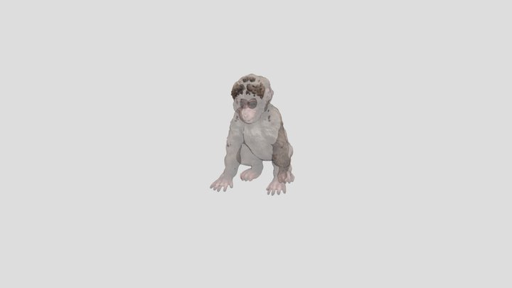 Japanese_monkey 3D Model