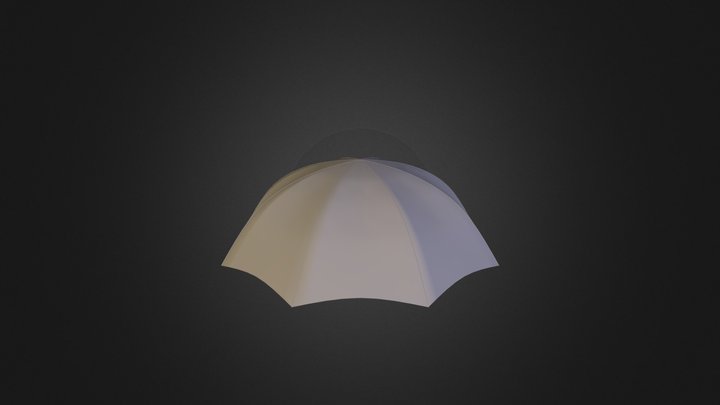 Umbrella Top 3D Model