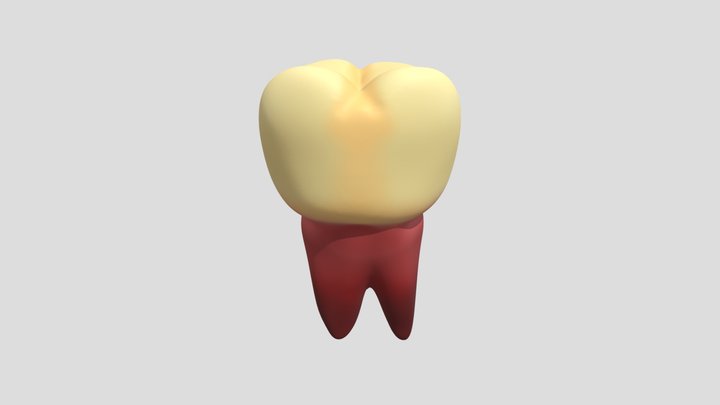 My model 3D Model