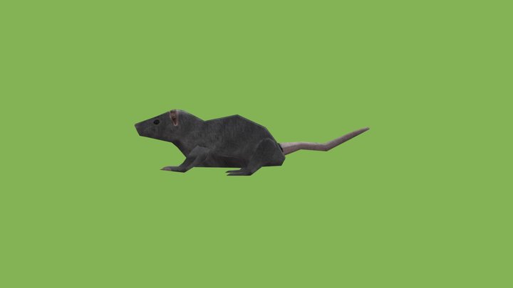 Rat – Gratis 3D-model STL