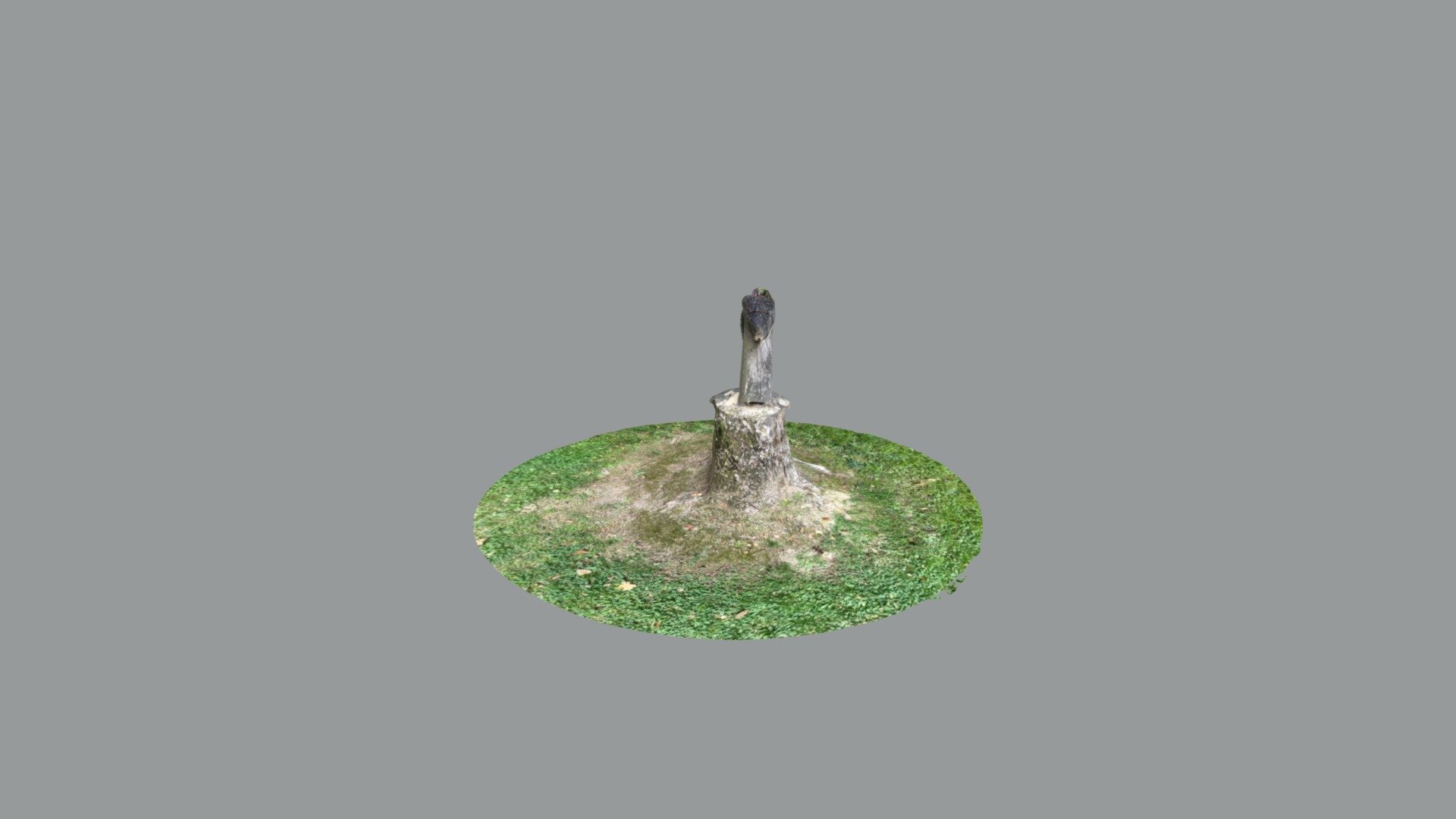Sculpture bois tête de cheval