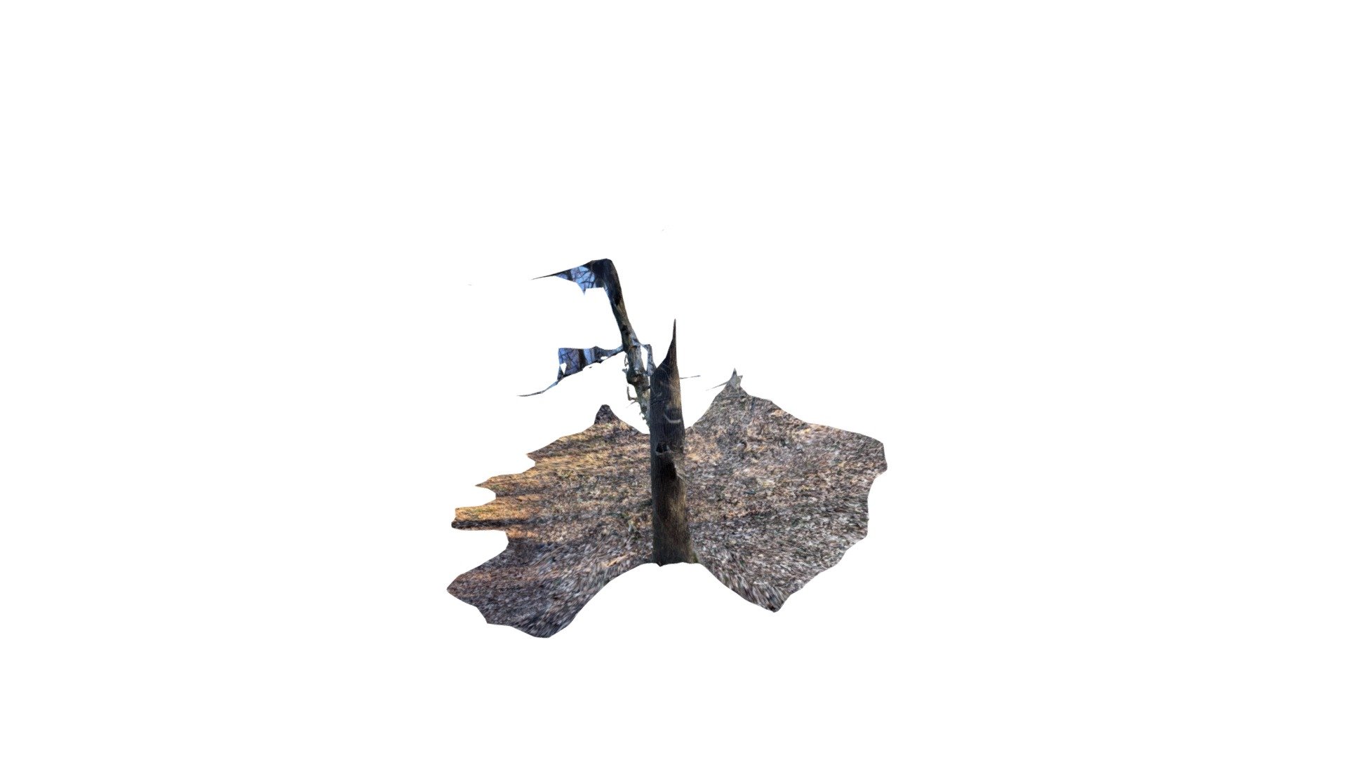 Test2