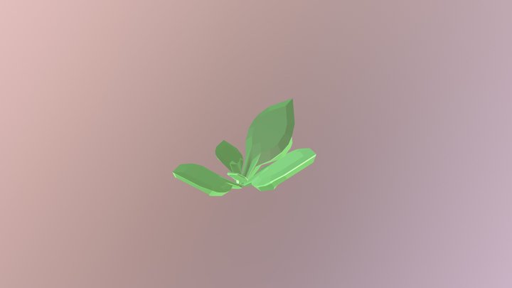 Sprout 3D Model