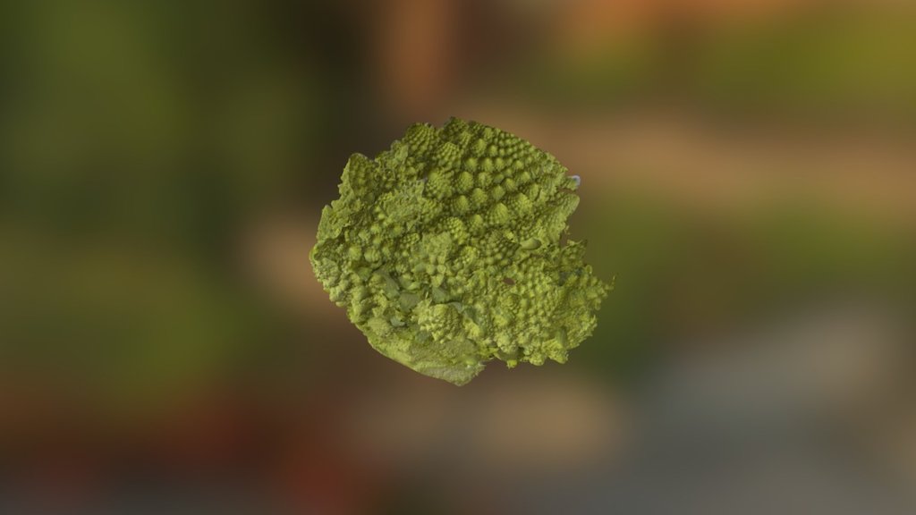 Fractal Romanesco Bottom
