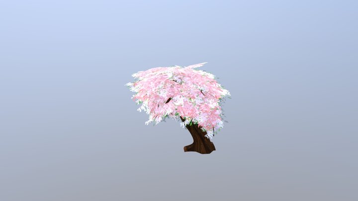 Sakura 3D Model