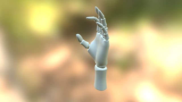 Robot Hand 3D model 3D Model