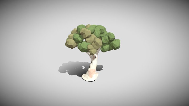 Birch Tree 3D Model