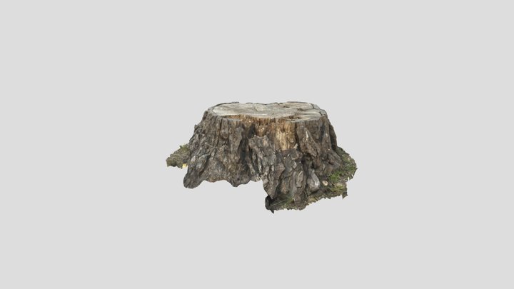 Wood Model - SATG 3D Model