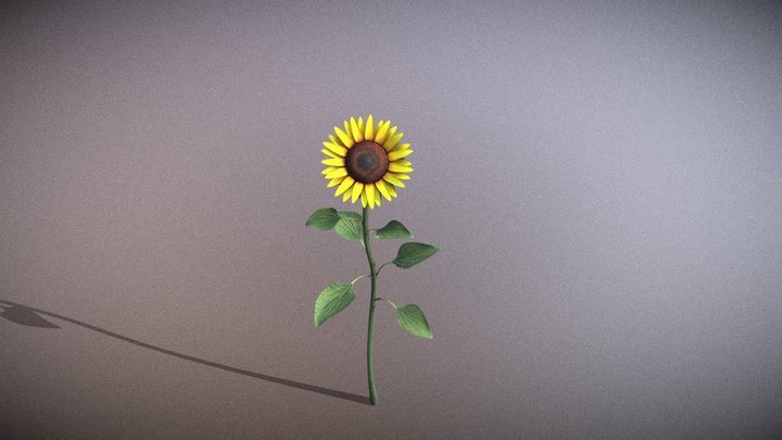 Girasol 3D Model