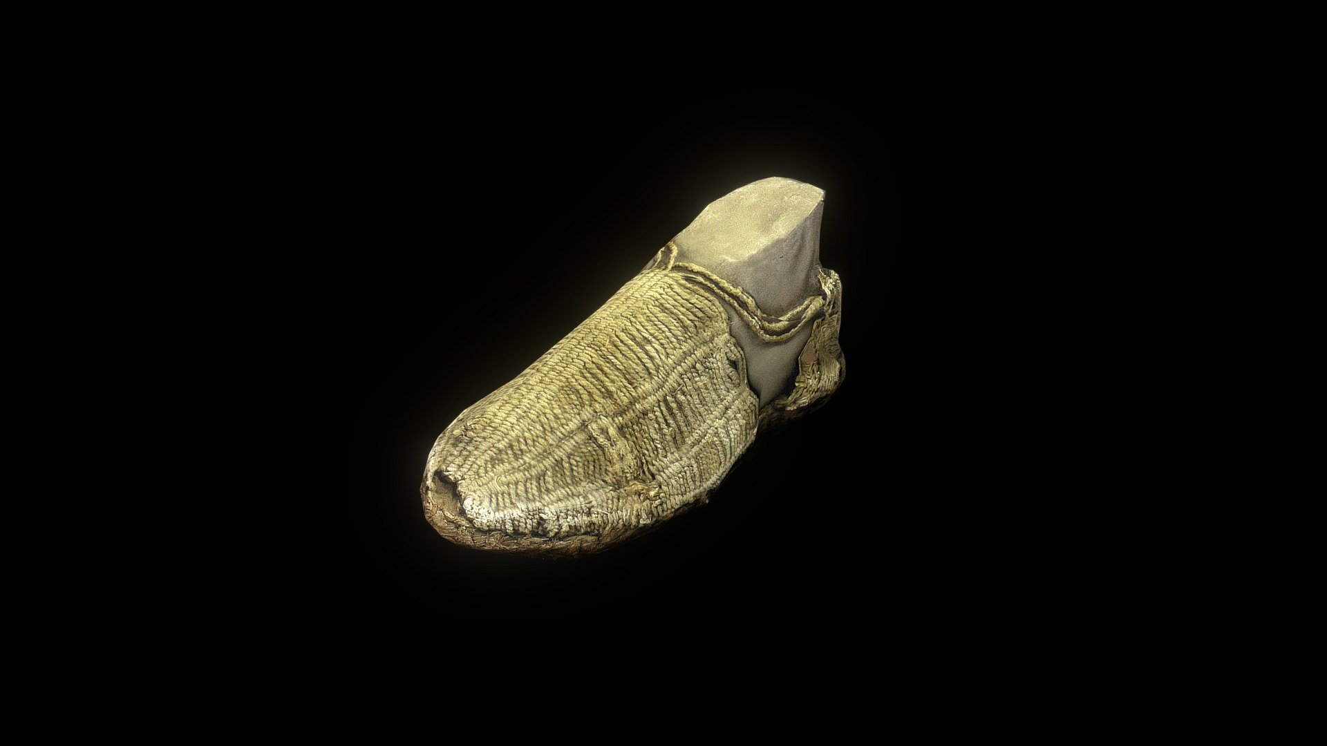Calzado - RN 168487