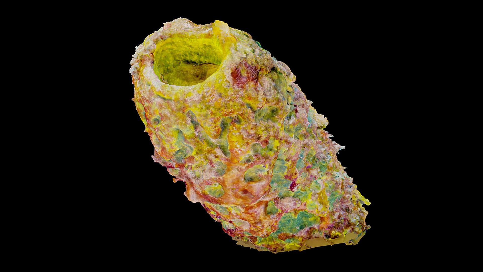 #30: Aplysina lacunosa