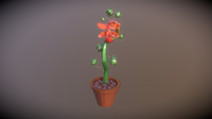plante succubante 3D Model