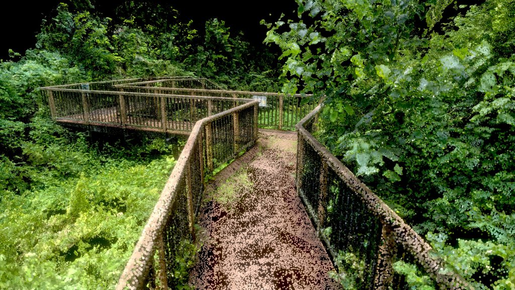 Boardwalk in the Forest - Point Cloud