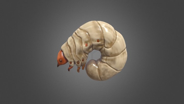 Grub 3D Model