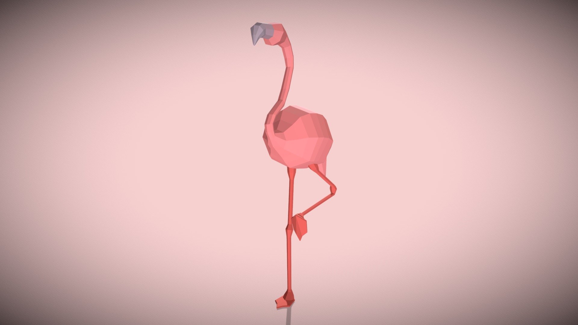 Flamingo