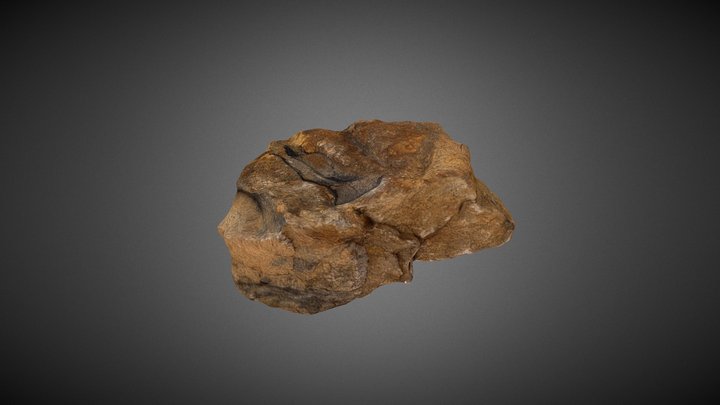 Iver term project ag222 3D Model