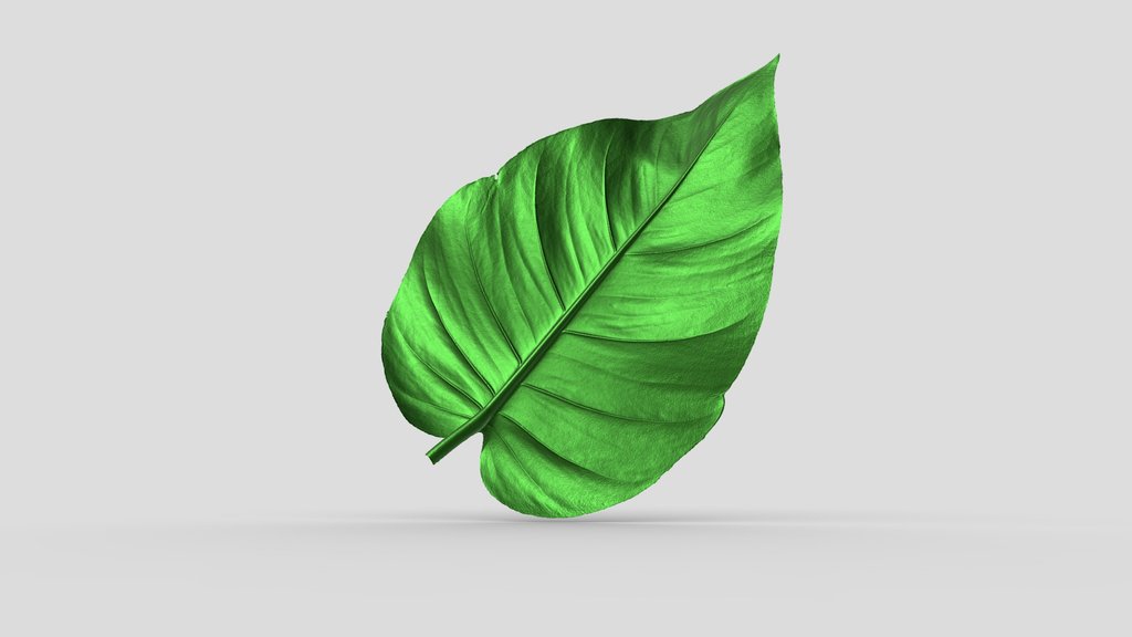 Leaf