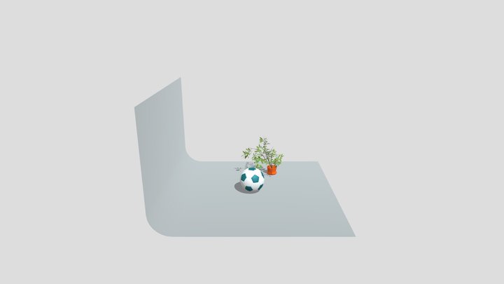 Football 3D 3D Model