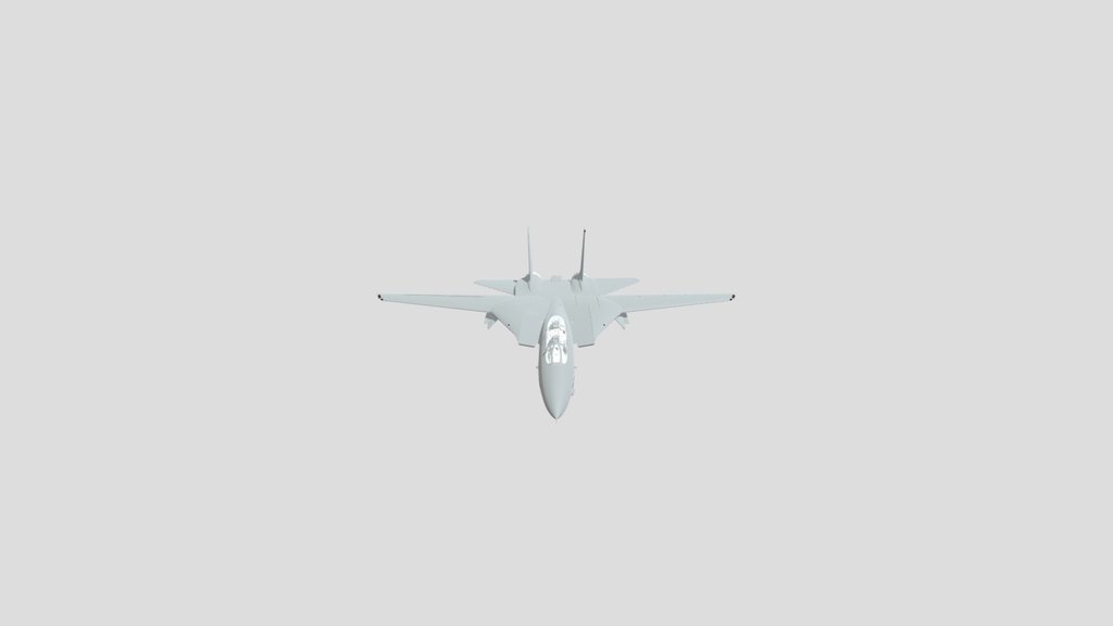 F14 without weapons an landing train