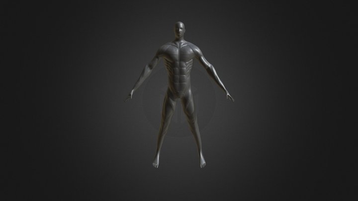 Anatomia 3D Model