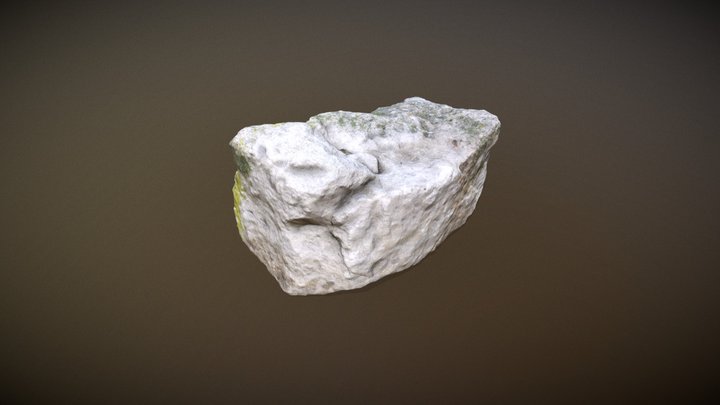 Rock10 Photogrammetry 3D Model