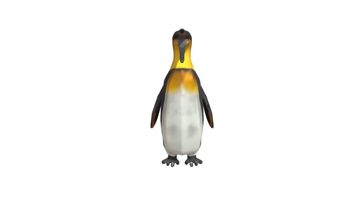 Icadyptes Salasi 3d Free Model  [texture] 3D Model
