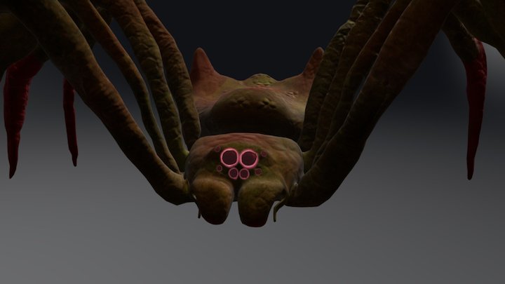 Spider DemiBoss 3D Model