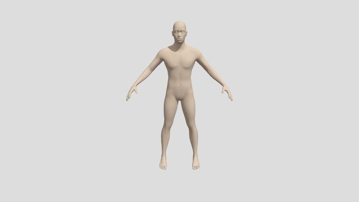 Base Human 3D Model