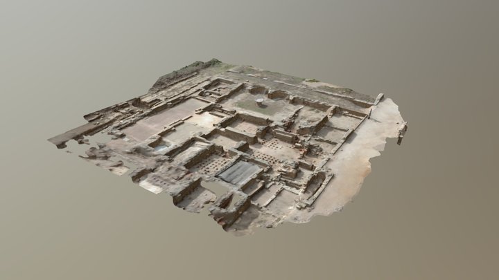 Termes d'Ampuries 3D Model