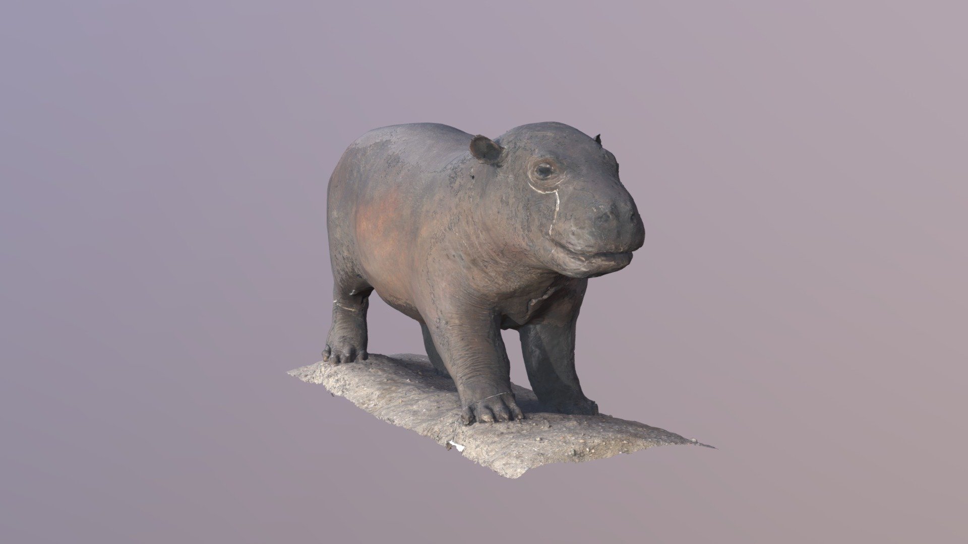 Hippopotamus - 3D Scan Animal
