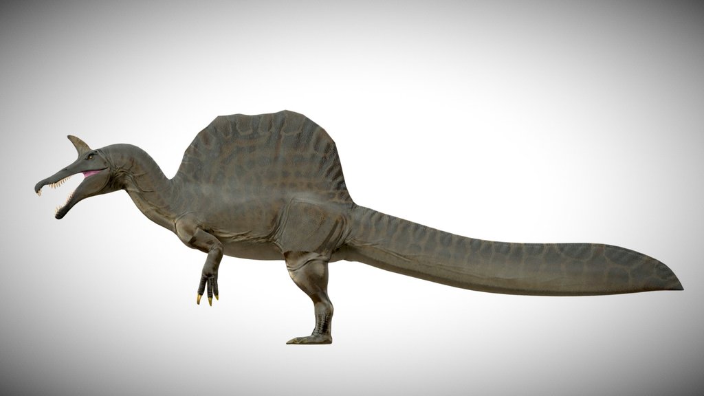 Spinosaurus Mirabilis