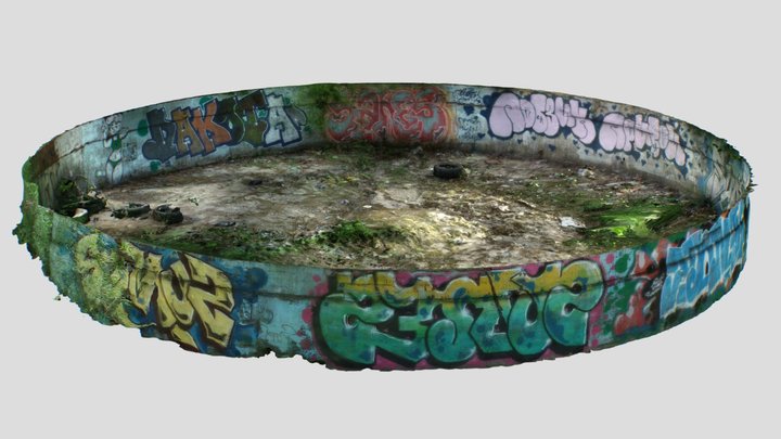 The Old Pool with Graffity (Raw Scan) [FREE] 3D Model