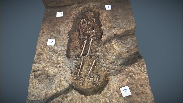 Burg | Individuum 01 3D Model