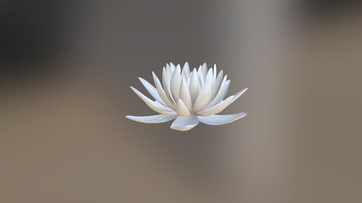 Lotus Flower 3D Model