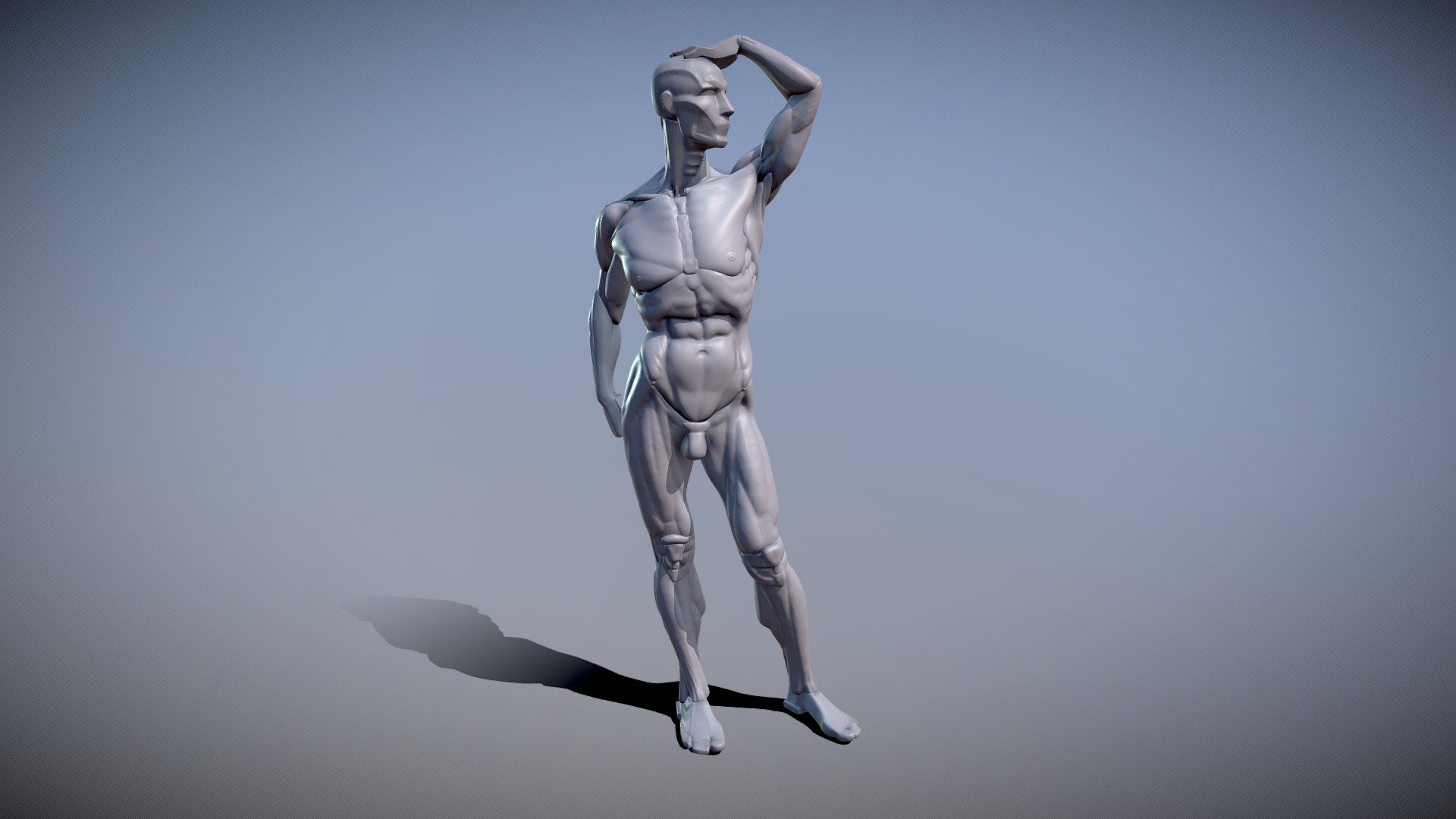 Anatomy Part 2 Final 3d Model By Ilkes 9e74211 Sketchfab 