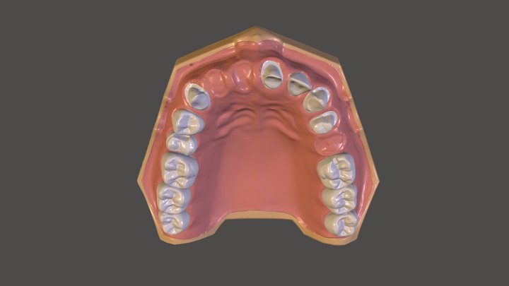 maxilla v2 3D Model