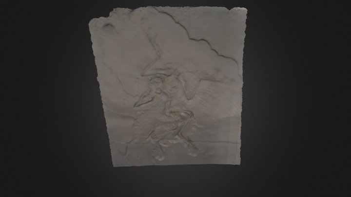 Archaeopteryx 3D Model