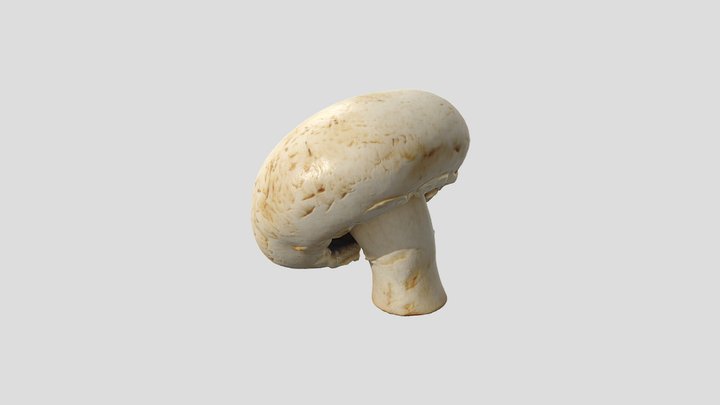 3D Scan - Mushroom 2 3D Model