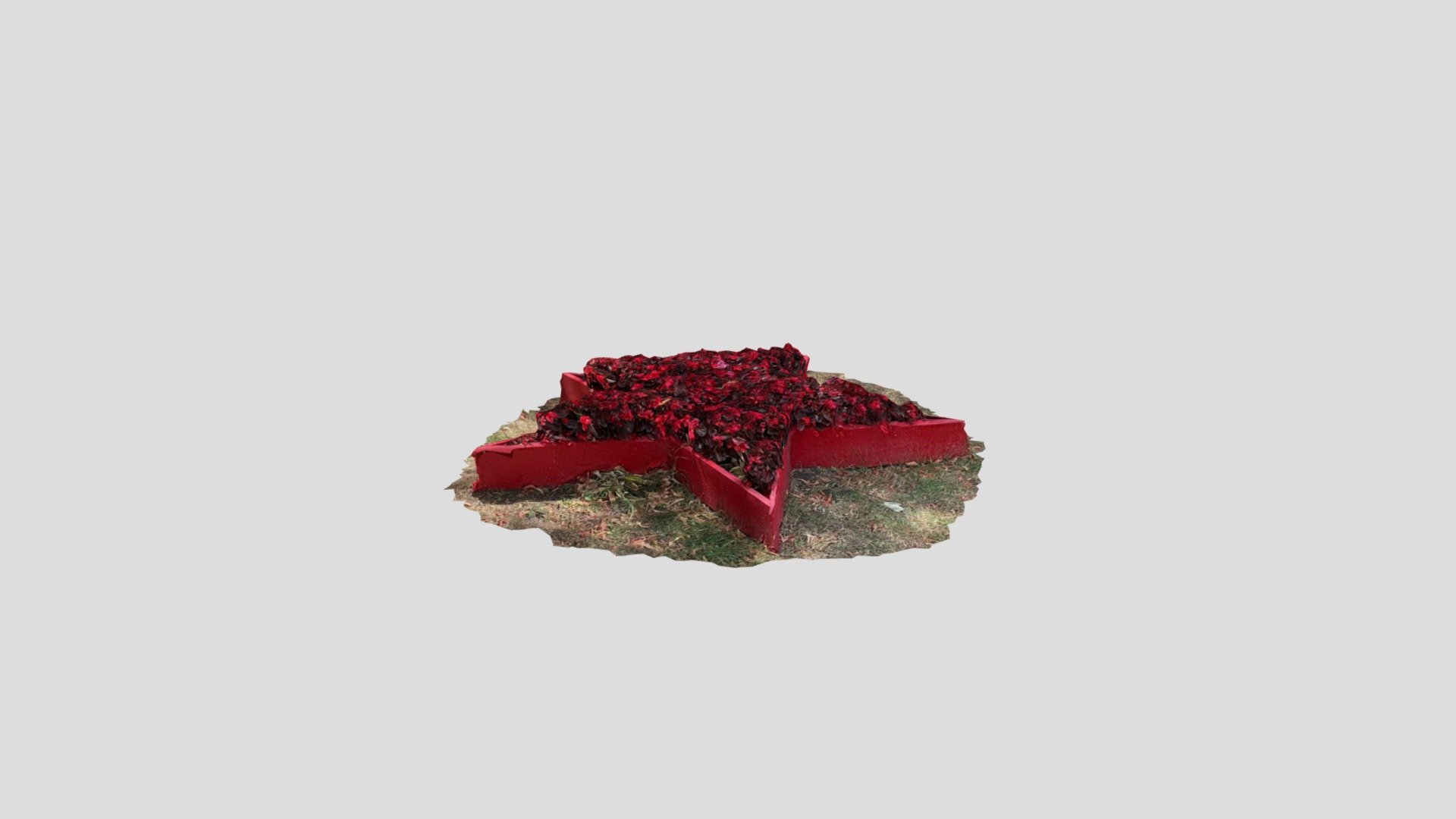Flowers red star