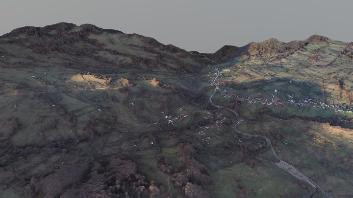 Land Slide Surdoiu- Valcea- Romania 3D Model
