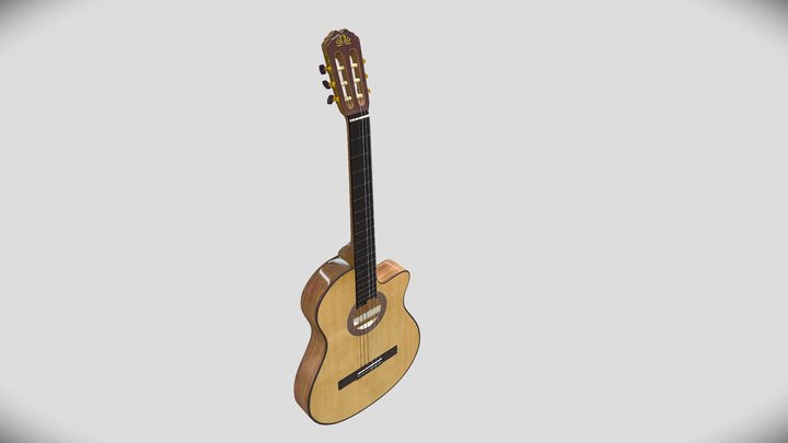 Guitar Musical Instrument