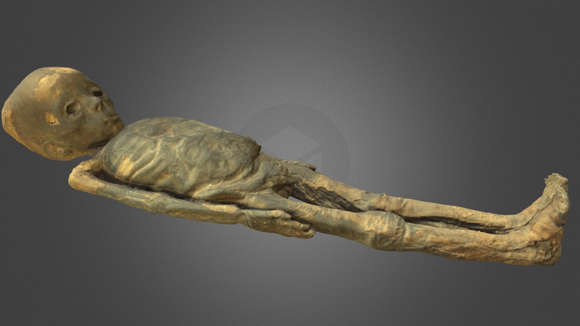Younger mummy (KMM A 63)