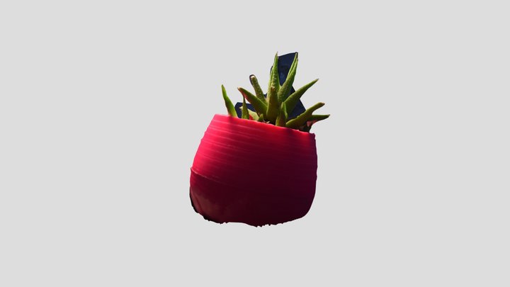 MARTIN, Josefina // Plantita 3D Model
