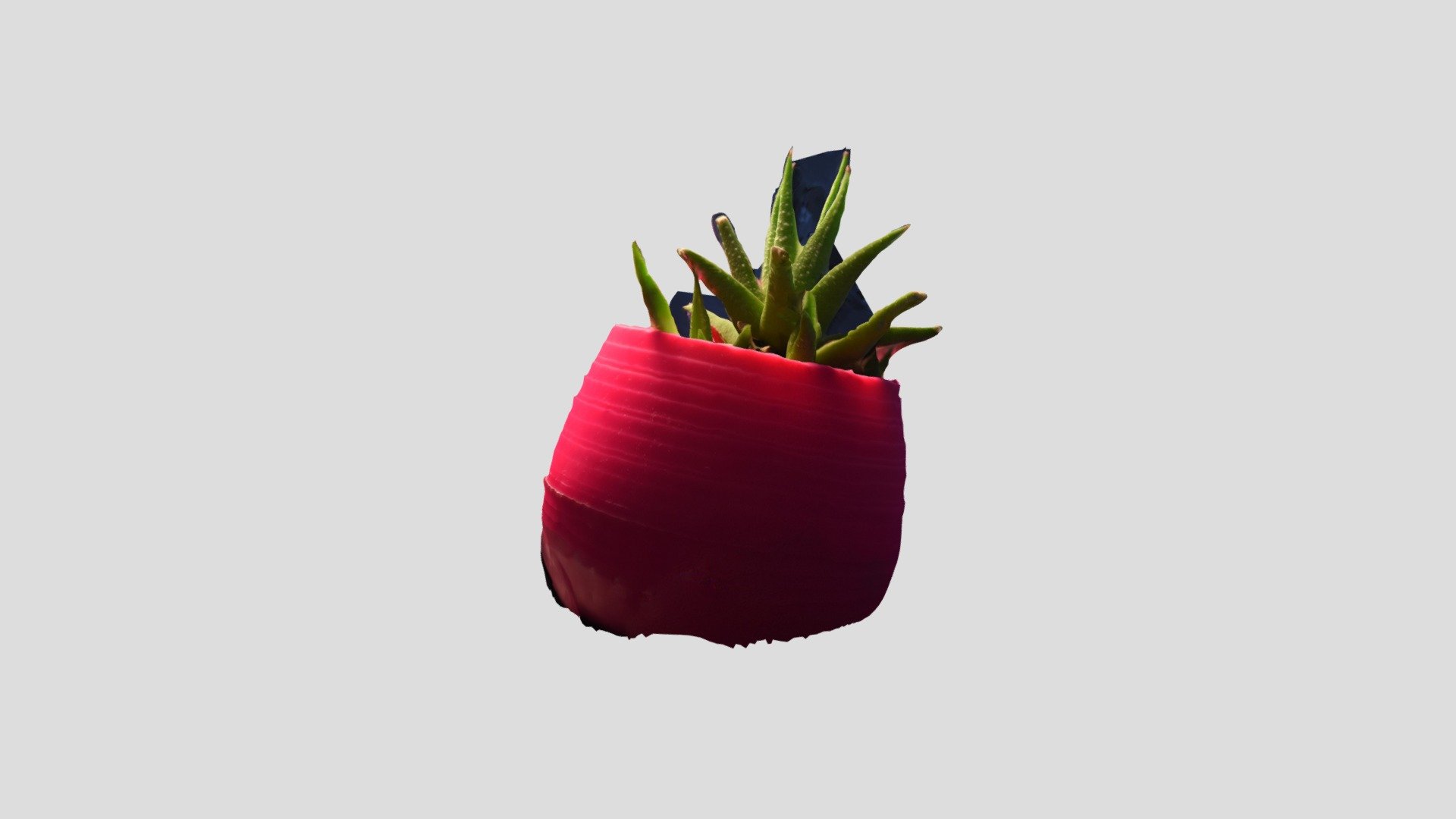 MARTIN, Josefina // Plantita
