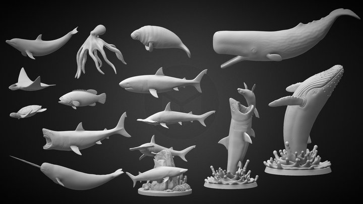 Animals for 3D Printing - Ocean Wildlife 3D Model