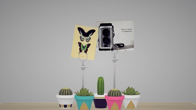 Indoor Plants 3D Model