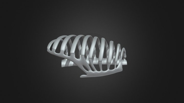 RibCage_2-3 3D Model